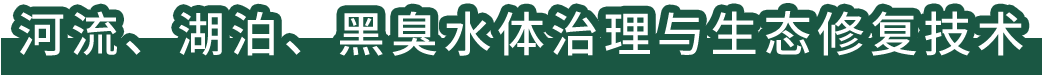 河流、湖泊、黑臭水體治理與生態(tài)修復(fù)技術(shù)