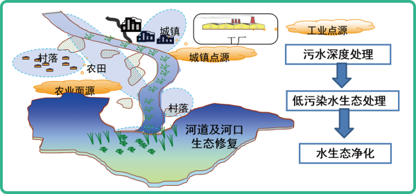 人工濕地，人工濕地建設(shè)