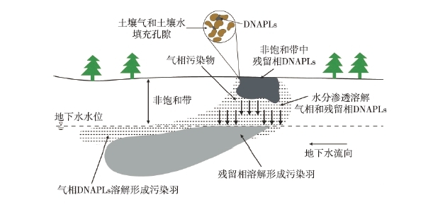 DNAPLs泄漏至地表后，受到重力作用向下遷移
